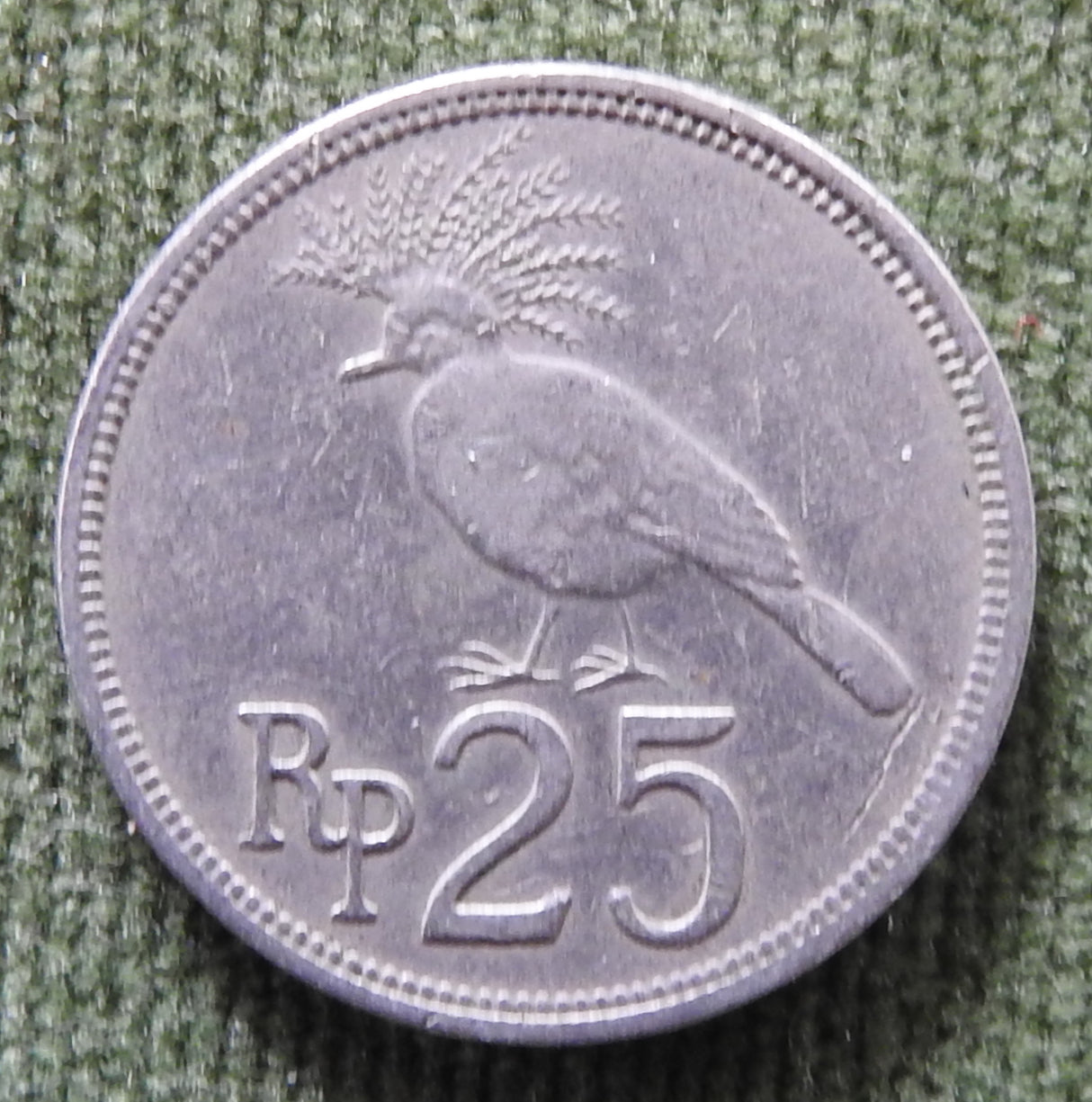 Indonesian 1971 25 Rupiah Victoria Crowned Pigeon Coin