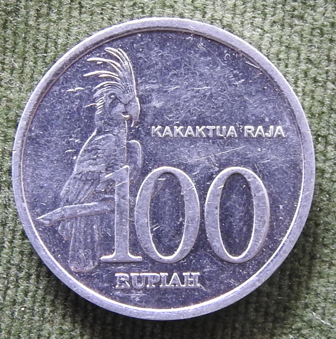 Indonesian 1999 100 Rupiah Black Palm Cockatoo Coin