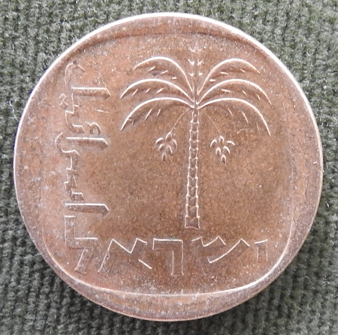 Israel 1974 10 Agorot Coin Date Palm Tree 5734/1974/תשל"ד
