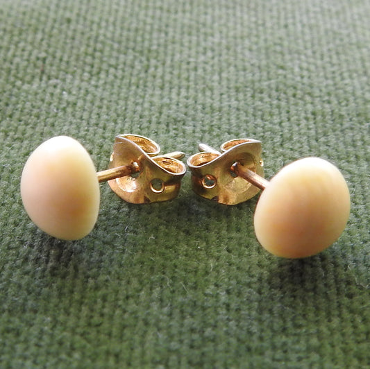 Ivory Dome Top Earrings (Cabochon) With Gold Studs & Keepers