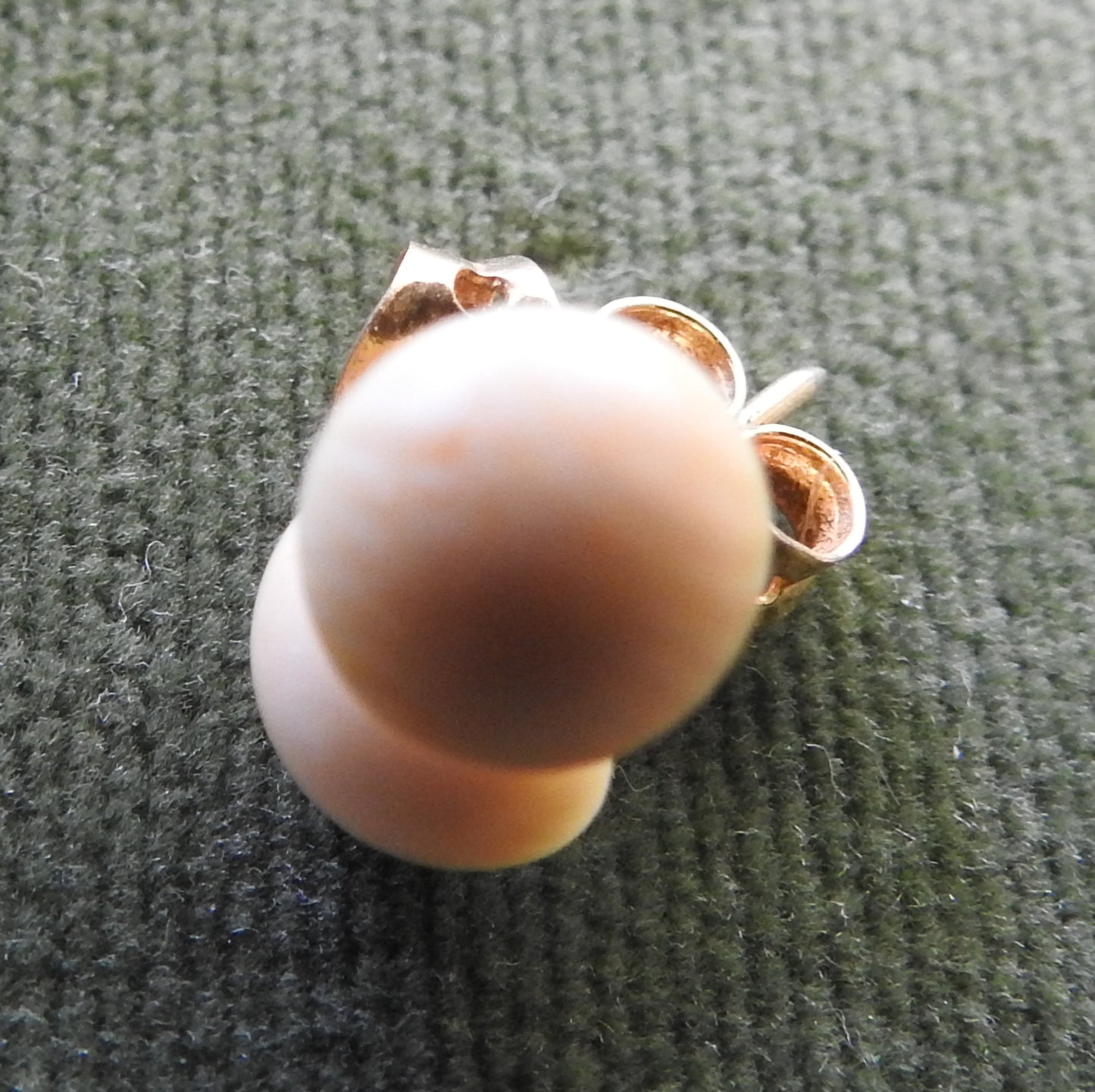 Ivory Dome Top Earrings (Cabochon) With Gold Studs & Keepers