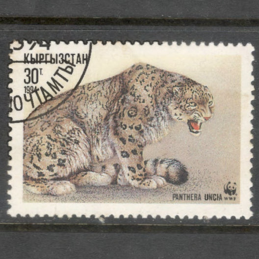 Kyrgyzstan 1994 30 Tyiyn Multicoloured Snow Leopard Stamp - Perfin: 12.5x12.0