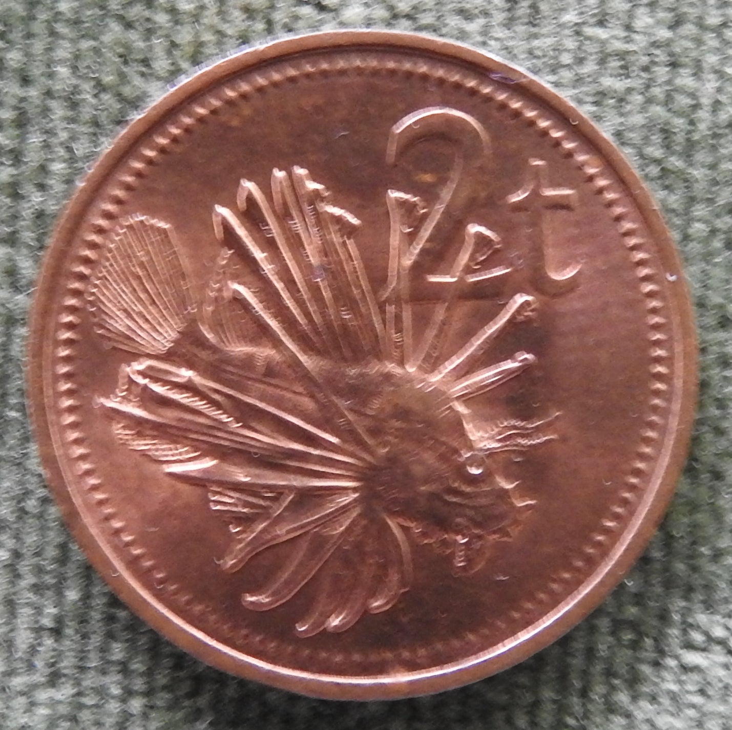 New Guinea 1978 2 Toea Coin
