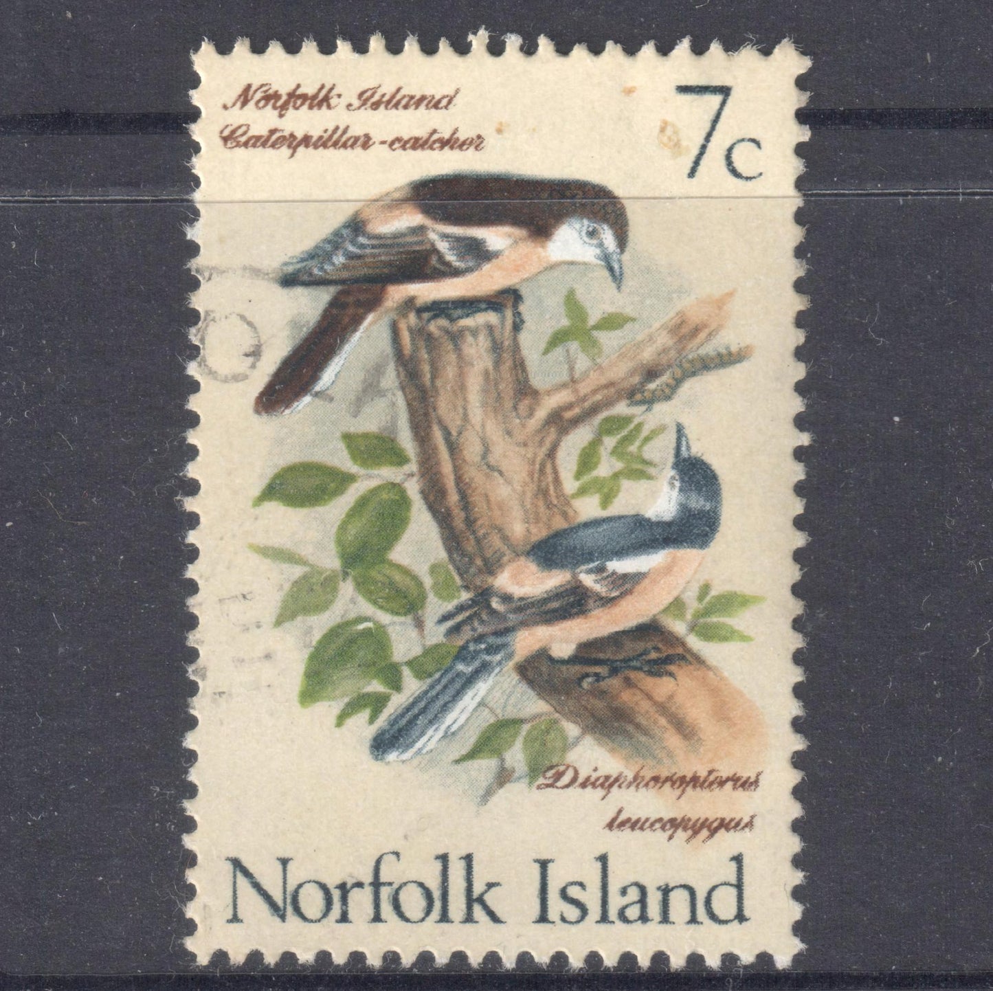 Norfolk Island 1970 - 1971 7 Cent Multicoloured Birds - Perfin:14.75x14