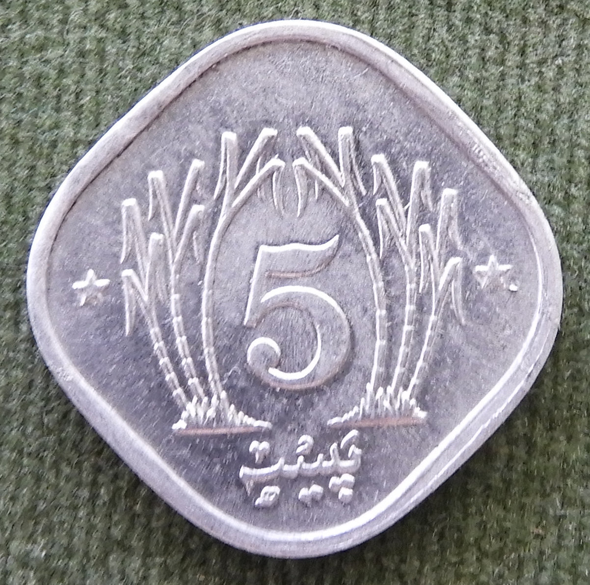 Pakistan 1989 5 Paisa Coin - Circulated