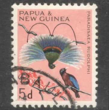 New Guinea PNG 1964 - 1965 5d 5 Pence Multicoloured Birds Paradisaea Rudolphi Stamp - Perfin 11.75