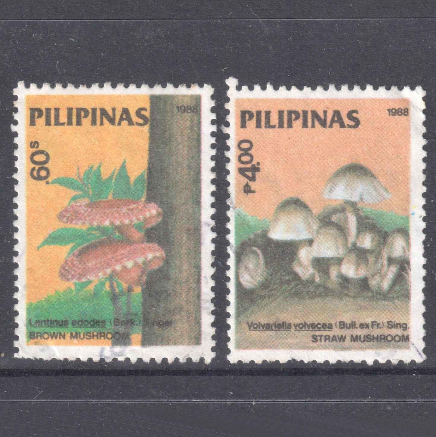 Philippines 1988 Fungi Stamp Group - Perfin:13x12.75