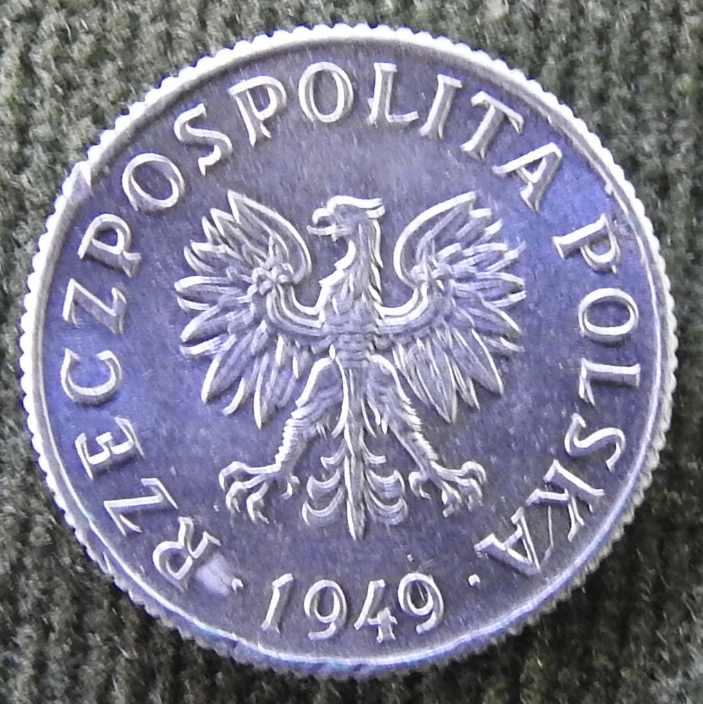Poland 1949 1 Grosz Coin - Circulated