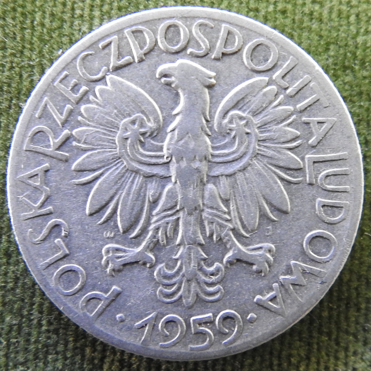 Poland 1959 5 Zlotys Fisherman With Net Coin - Circulated