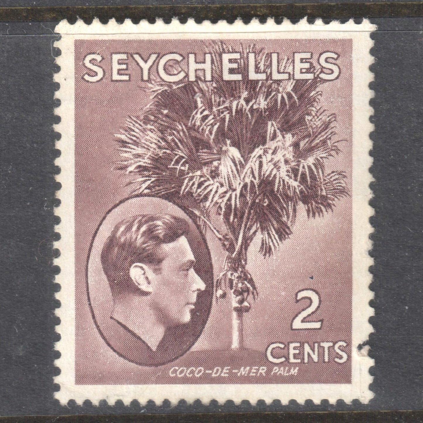 Seychelles 1938 -1949 2 Cent Violet Double Coconut Palm Stamp - Perf: 14.5x13.5