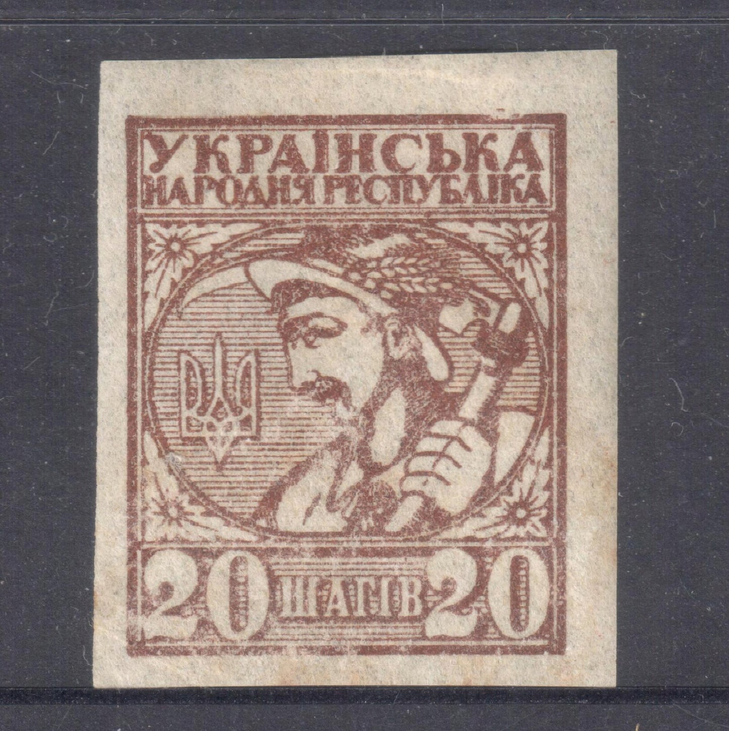 Ukraine 1918 20 Schilling Dark Brown First Definitive Issue - Imperforated