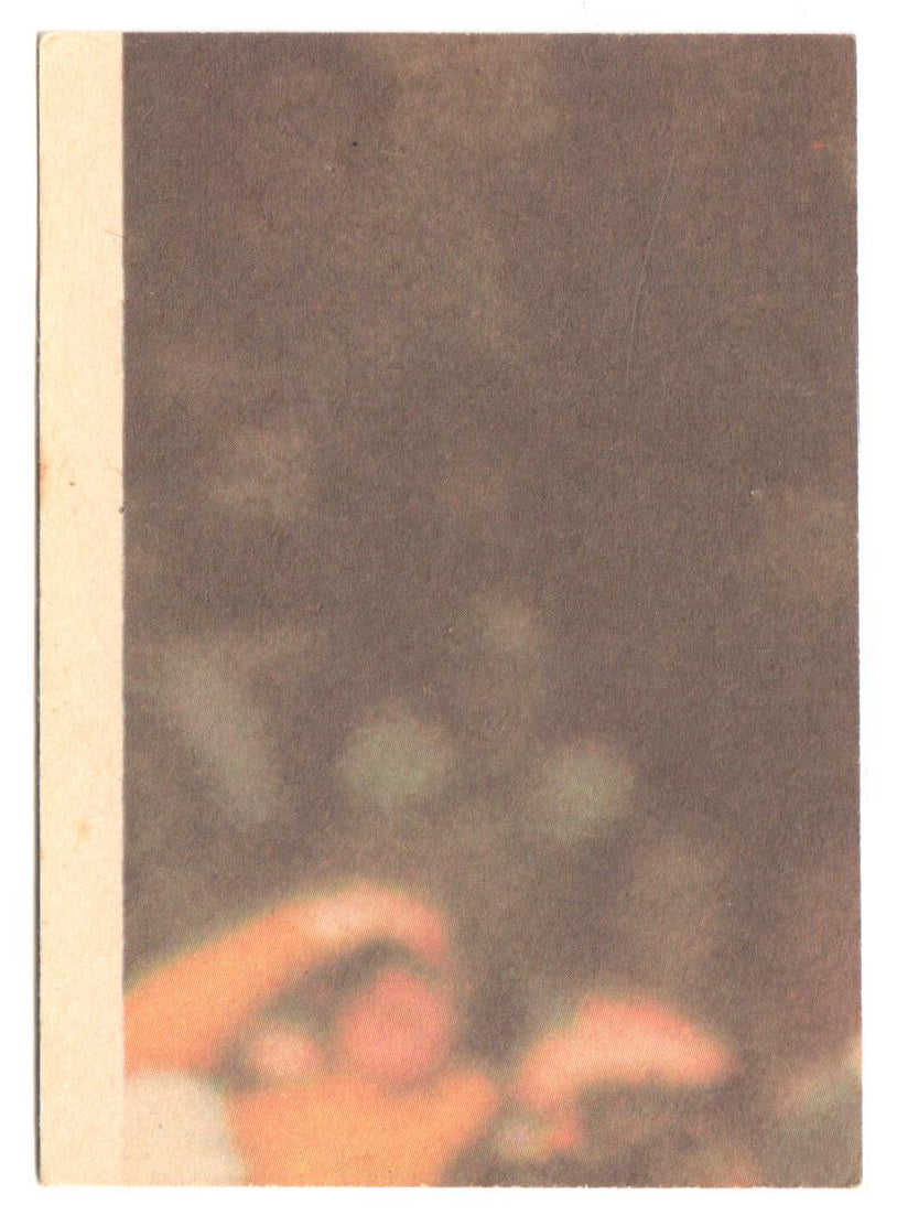 Scanlens 1976 NRL Football Card 121 of 132 - Bill Hamilton - Bears
