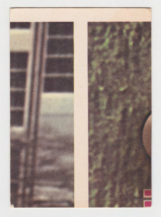 Scanlens 1970 NRL Football Card #06 - Bob Moses - Rabbitos