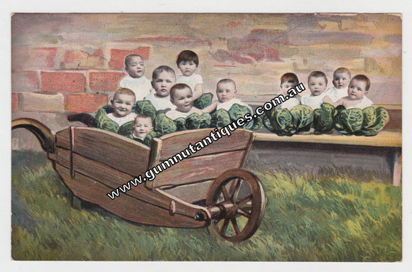 Postcard Cabbage Patch Children In A Wheelbarrow & On A Bench Postmarked 1907