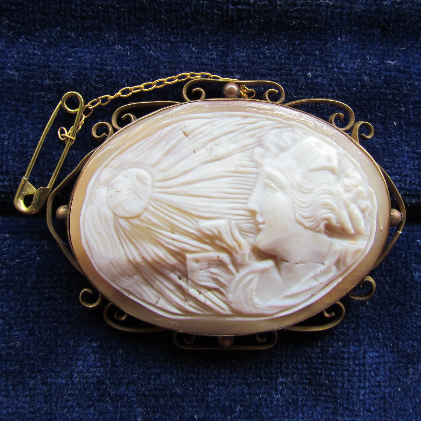 Unmarked Kauri Shell Cameo Brooch With Safety Chain