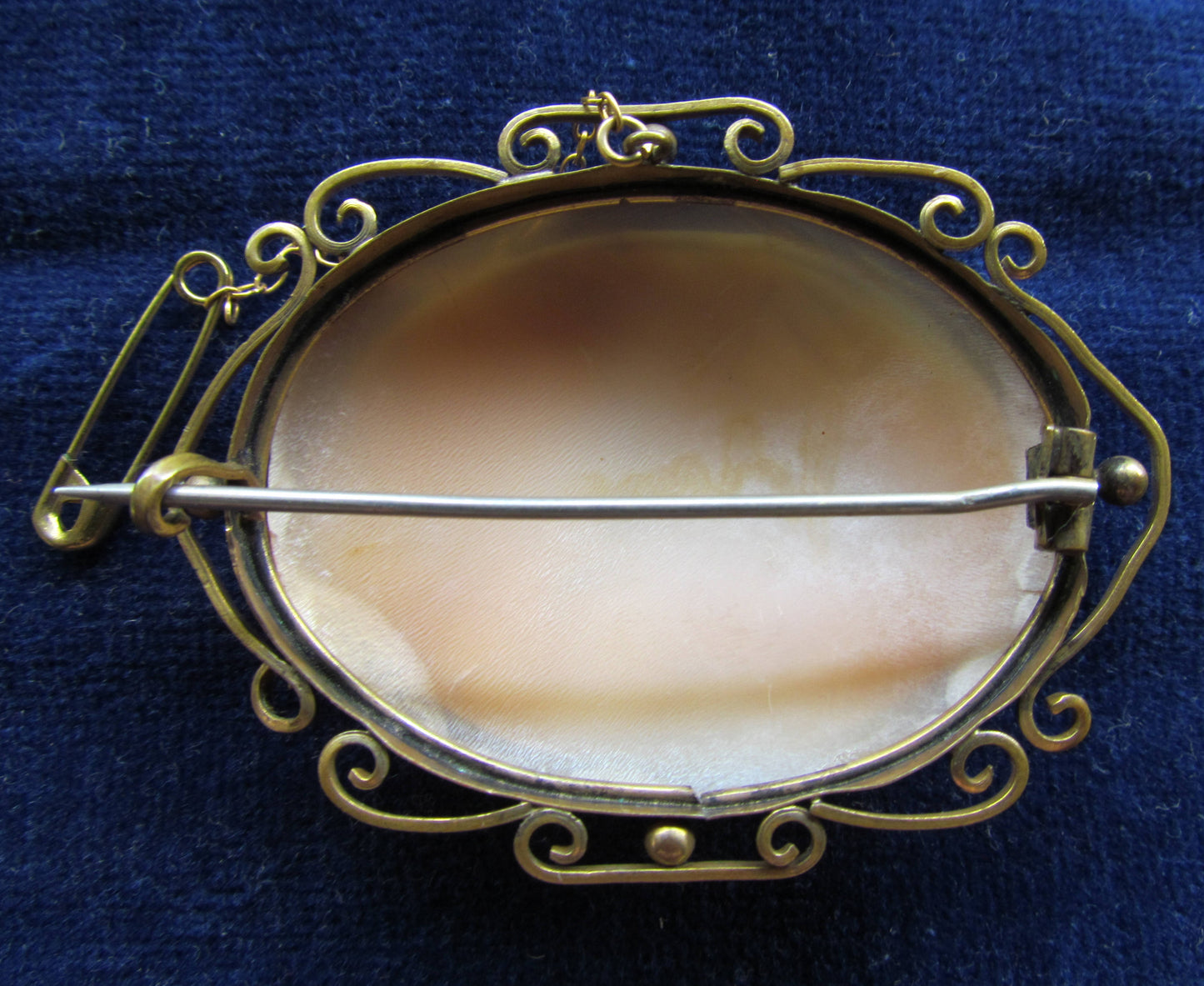 Unmarked Kauri Shell Cameo Brooch With Safety Chain