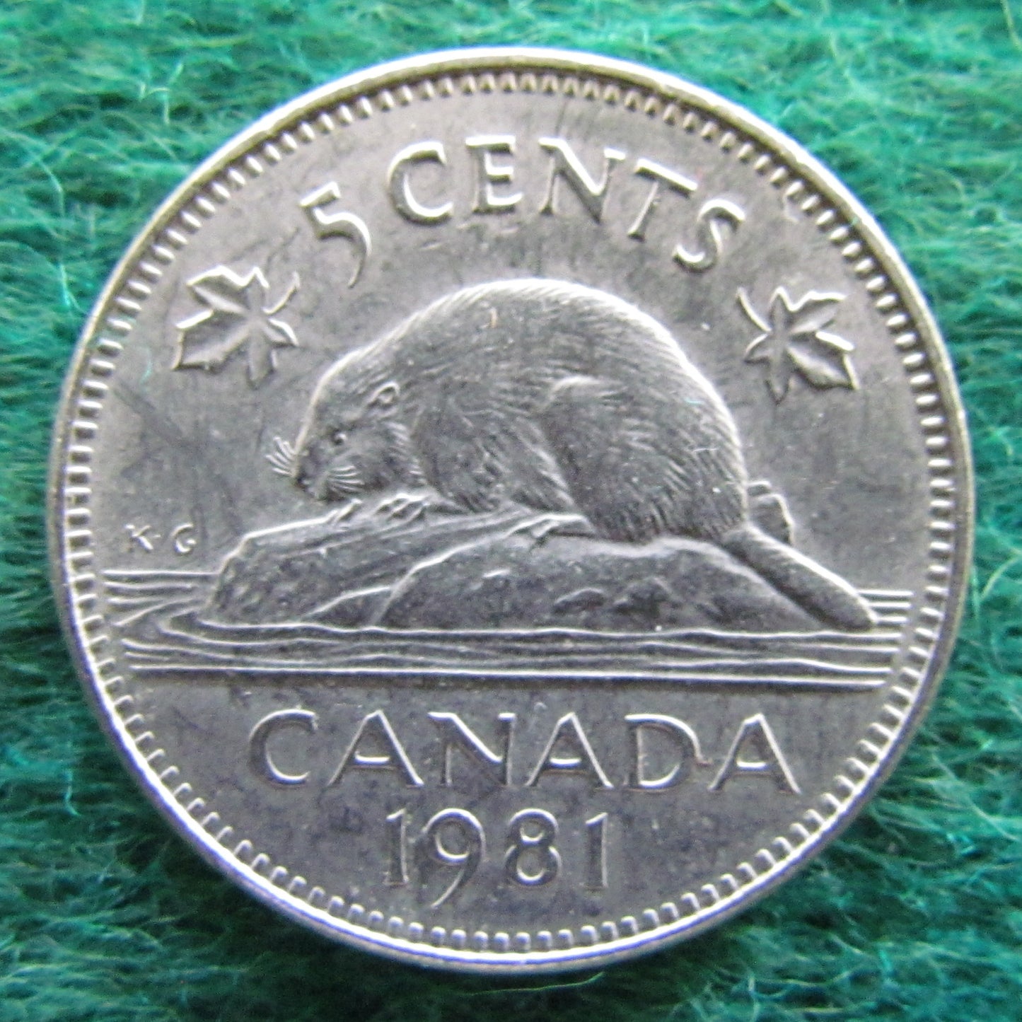 Canada 1981 5 Cent Queen Elizabeth II Coin - Circulated