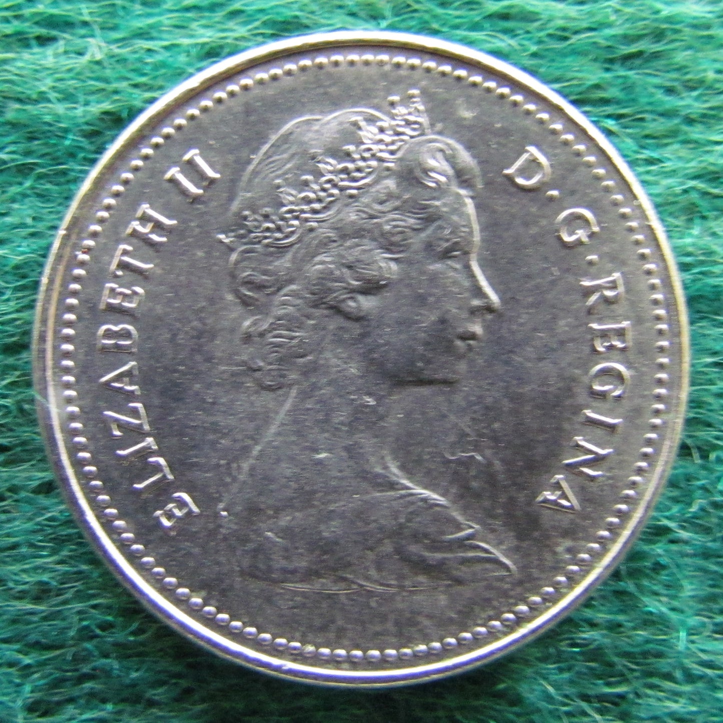 Canada 1981 5 Cent Queen Elizabeth II Coin - Circulated
