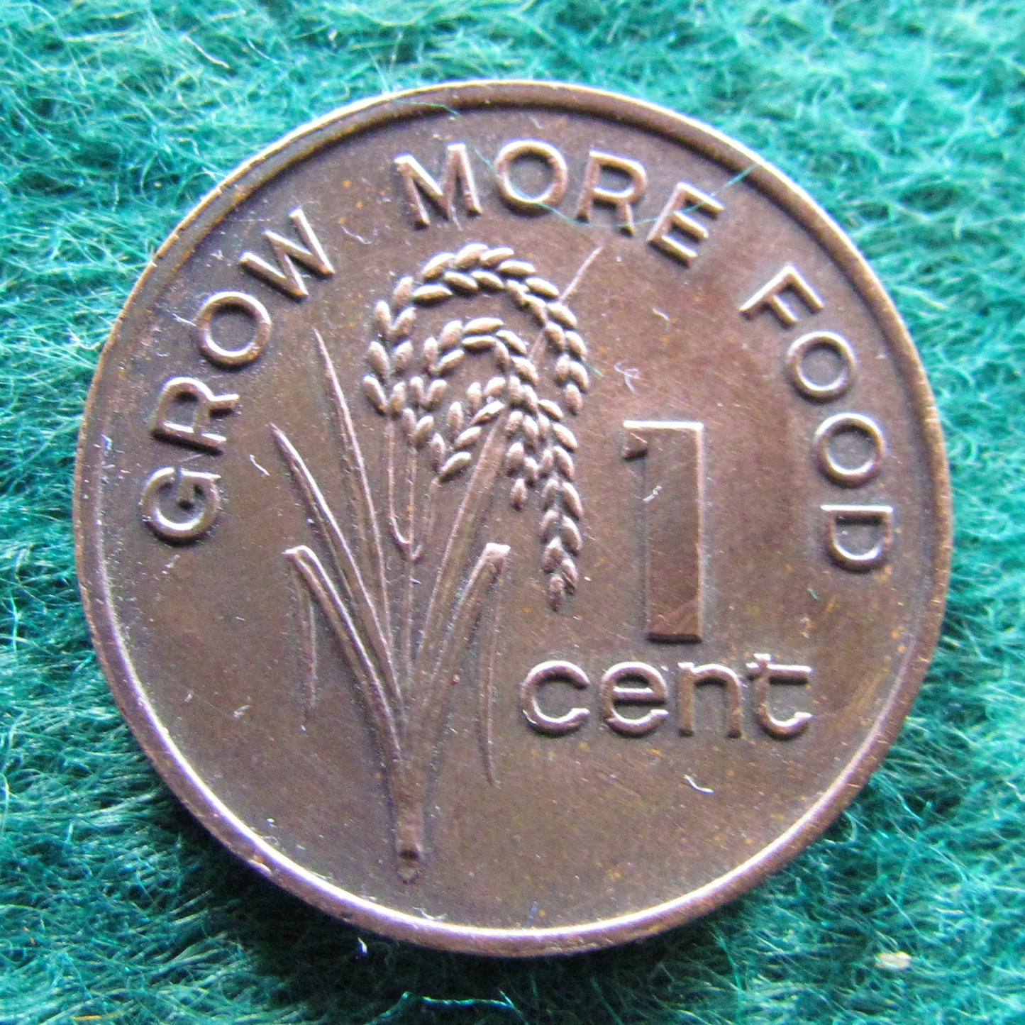 Fiji 1979 1 Cent Queen Elizabeth Coin