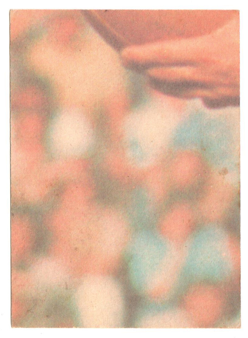 Scanlens 1976 NRL Football Card 49 of 132 - Gary Allsopp - Panthers