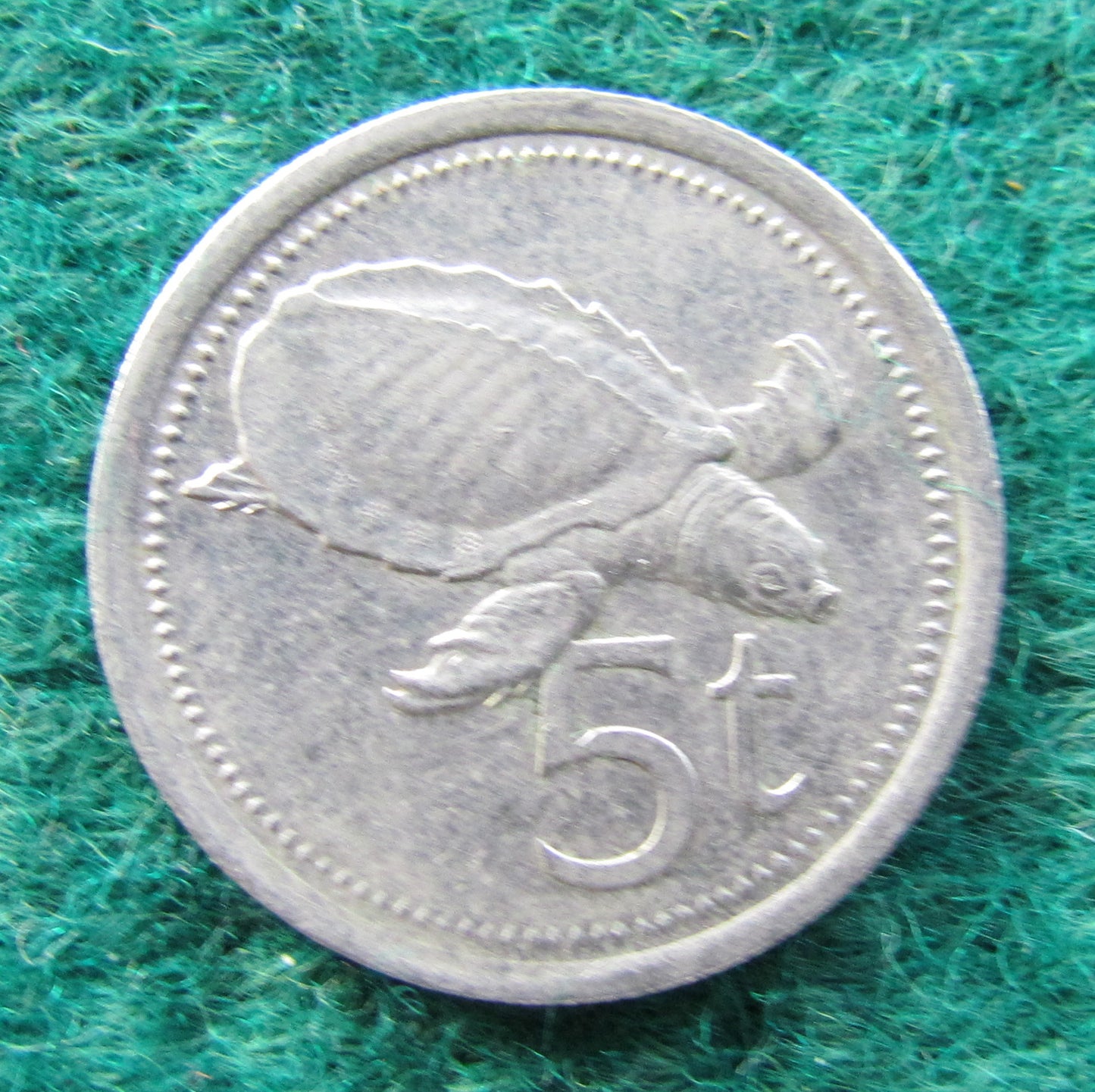 New Guinea 1979 5 Toea Coin - Circulated