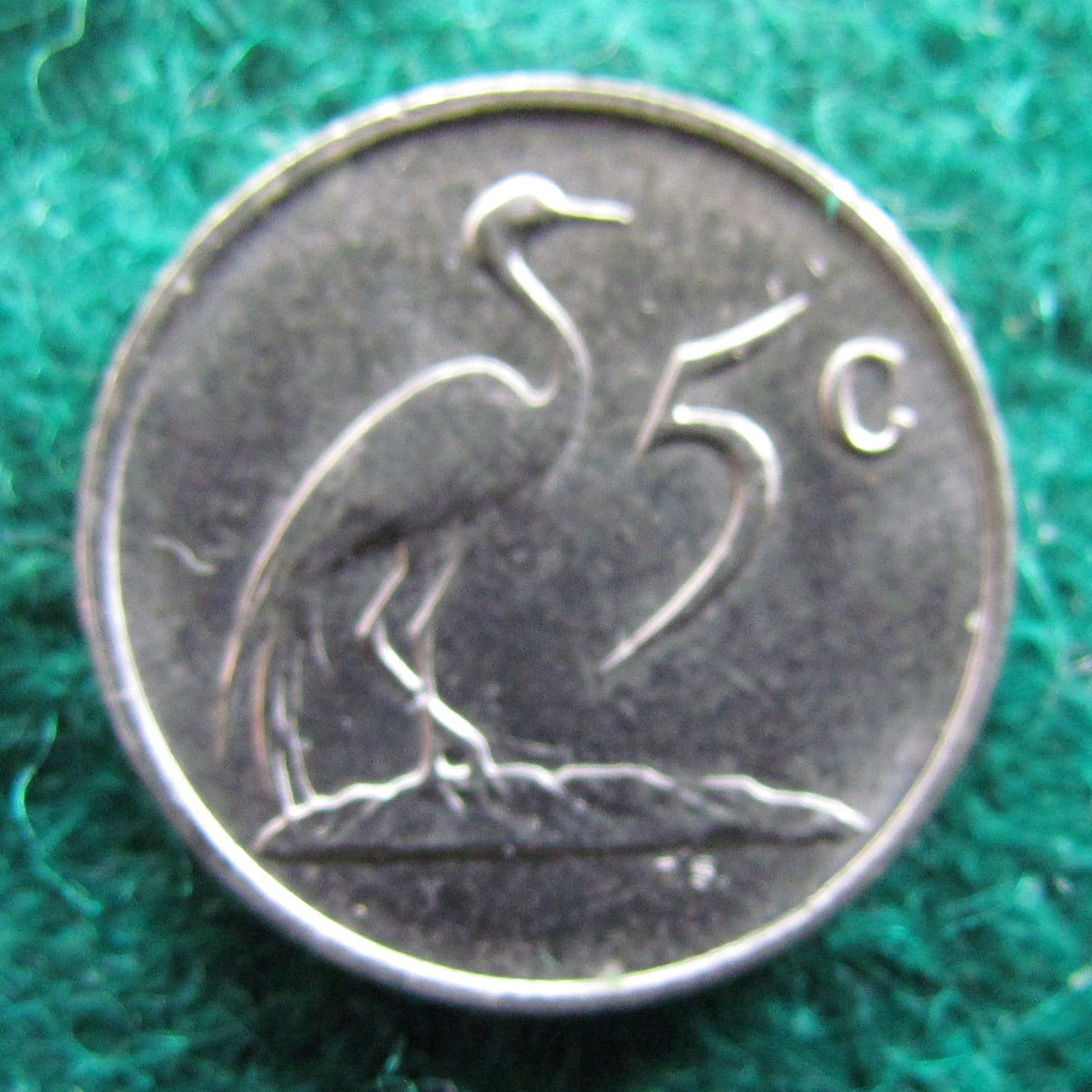 South Africa 1988 5 Cent Coin