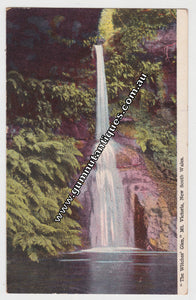 Postcard The Witches Glen Mt Victoria New South Wales Postmarked 1908