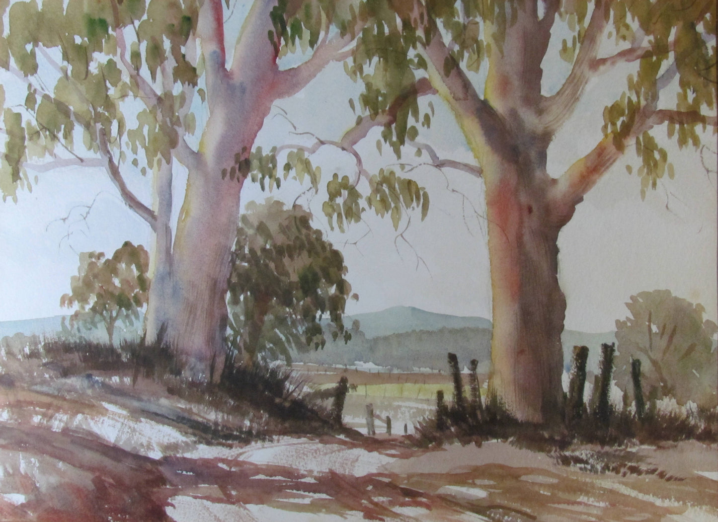 Pencil Signed Watercolour Australian Landscape Between The Trees